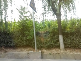 20160807100034