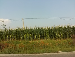 20160807172104