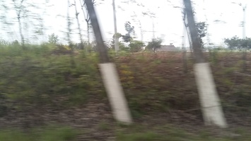 20190404112236